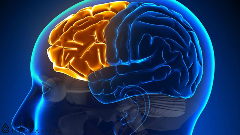 meo-tang-cuong-tri-nho