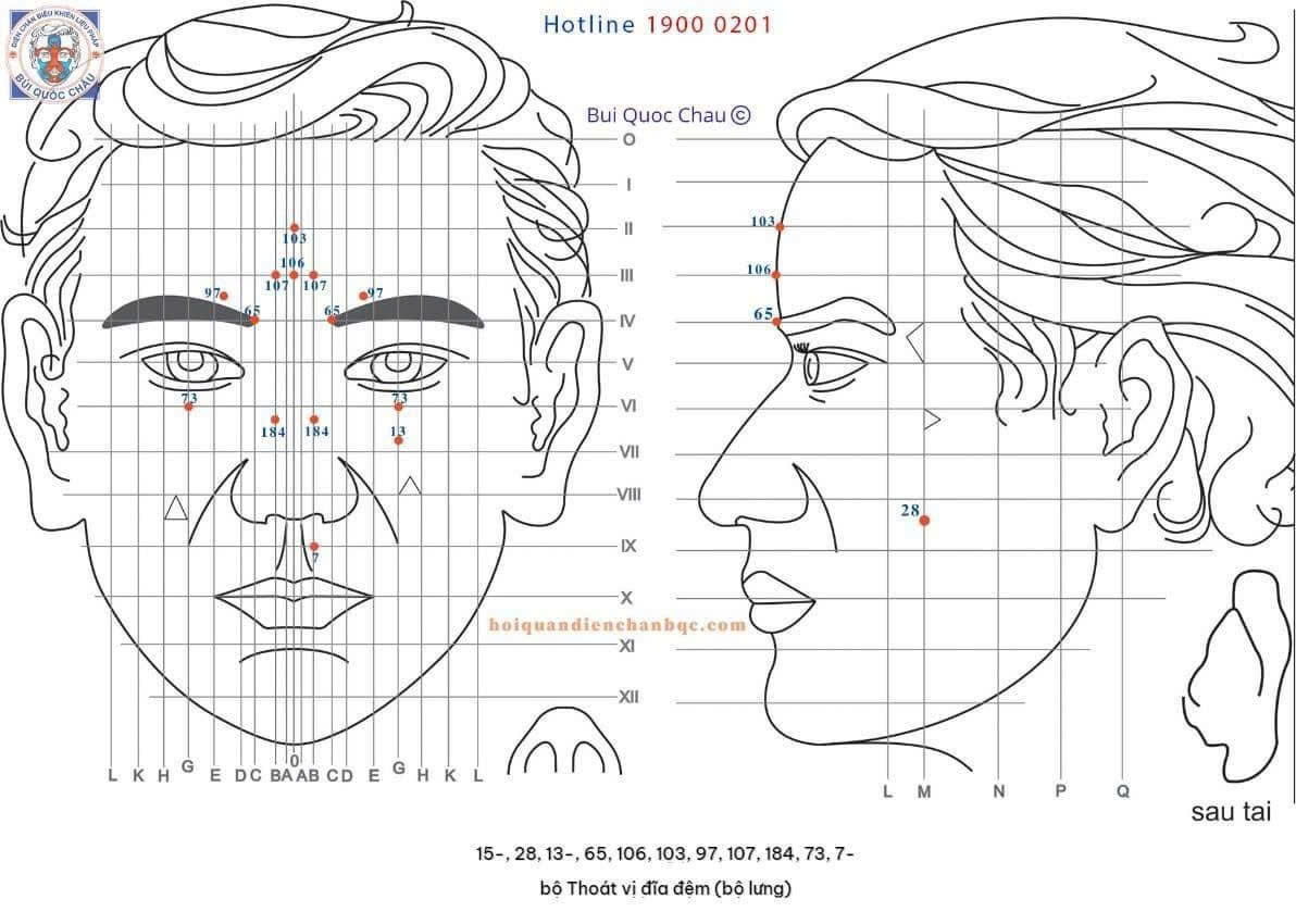 bo-thoat-vi-dia-dem-bo-lung-5